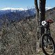 IMG 20250318 125531