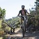 Julian Jessop still has energy for a wheelie during Stage 3 of the 2025 Absa Cape Epic Mountain Bike stage race held at Fairview, Paarl, Cape Town, South Africa on the 19th March 2025. Photo by Dom Barnardt/Cape Epic
PLEASE ENSURE THE APPROPRIATE CRE
