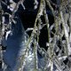 IMG1792