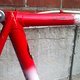 IMG 7687