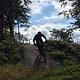 Willingen