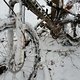 171203-Winterbiken-3
