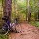 Orbit360 // Gravel Series 2022 // MagneticMoon