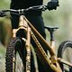 Norco Gold Standard Select Riding 01