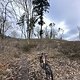 Testfahrt