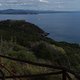 DSC09911