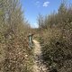 IMG 1351