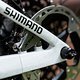 Das Alpecin-Deceuninck-Team, bei welchem Puck Pieterse unter Vertrag steht, wird bekanntermaßen von Shimano unterstützt.
