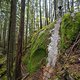 BC Squamish - Sourkraut