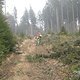 IMG 0022