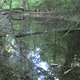 2012-05-07 19-28-13 109