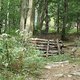DSC00426