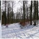PicMonkey Collage7
