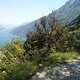 Gardasee - Trail nach Navene