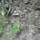 IMG 0036