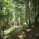 im Hainberg