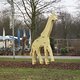 02 giraffe
