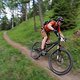trailtrophy