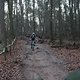 IMG 1233