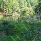 DSC02986