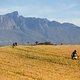 Marie Rabie &amp; Hayley Preen of Land Rover Ladies during stage 3 of the 2021 Absa Cape Epic Mountain Bike stage race from Saronsberg to Saronsberg, Tulbagh, South Africa on the 20th October 2021

Photo by Gary Perkin/Cape Epic

PLEASE ENSURE THE APPROP
