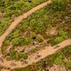 Adelheid Morath of Computer Mania MTB leads Candice Lill and Mariske Strauss of Faces CST and Laura Stigger &amp; Sina Frei of NinetyOne-songo-Specialized and team mate Cherie Redecker during stage 6 of the 2021 Absa Cape Epic Mountain Bike stage race fr