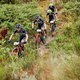 Pro riders pass a few cows during stage 4 of the 2022 Absa Cape Epic Mountain Bike stage race from Elandskloof in Greyton to Elandskloof in Greyton, South Africa on the 24th March 2022. © Dom Barnardt / Cape Epic