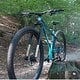 36er im 29er Alboom
