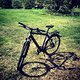 Kalkhoff Track Street 1.0 XXL