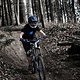 IMG 6458
