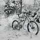 Spicy-Winter