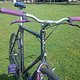 purple bike-ssp 07