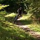 tiergarten