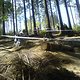 Bike Festival Downhill-Strecke