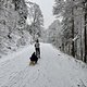 Familienspaziergang im Schnee mit Schlittenfahrt