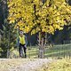 LOEFFLER Winterbike (12)