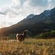 Mit diesem epischen Foto vom Sonnenuntergang in Leogang verabschieden wir uns