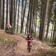 IMG 3677