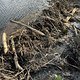 IMG 5189