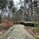 IMG 8772