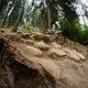 Andi-Kolb-Blog-