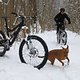 IMG 2683