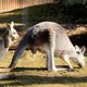 IMG 9741