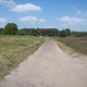 Westruper Heide 1