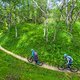 Ramundberget bietet mehrer Tagestouren, mal durch die Wälder...