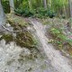 DSC02983