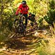 chasing-trail-ep31-17-1200x800-2020-bike-SCOTT-Sports