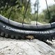 Der neue Schwalbe Albert mit Radial-Karkasse fühlt sich deutlich smoother an als herkömmliche Schwalbe-Modelle