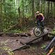 BC Squamish - Entrails