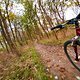 Rocky Mountain Vertex T.O. - Poel 20241020 05